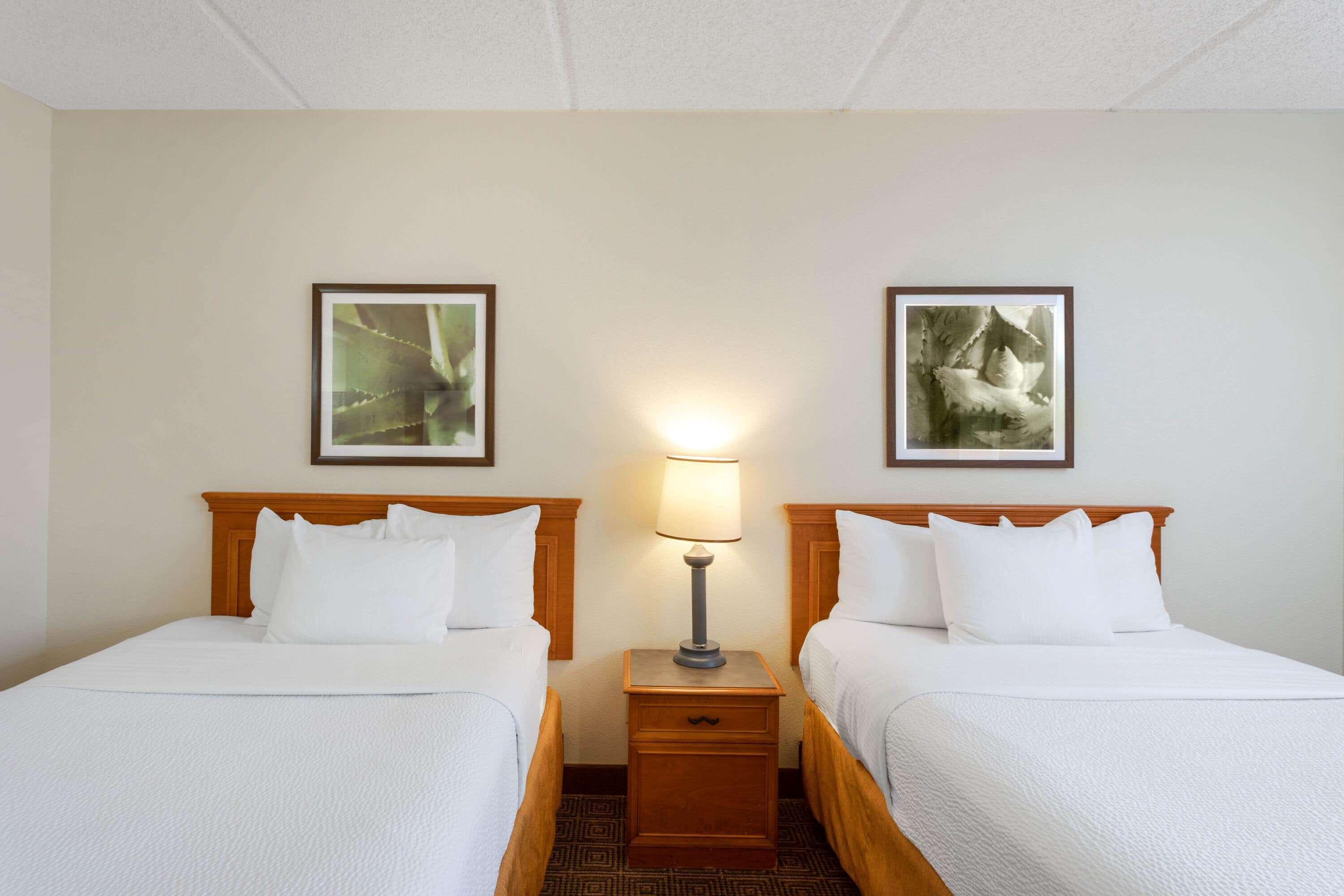 La Quinta Inn & Suites By Wyndham Jacksonville Mandarin Esterno foto