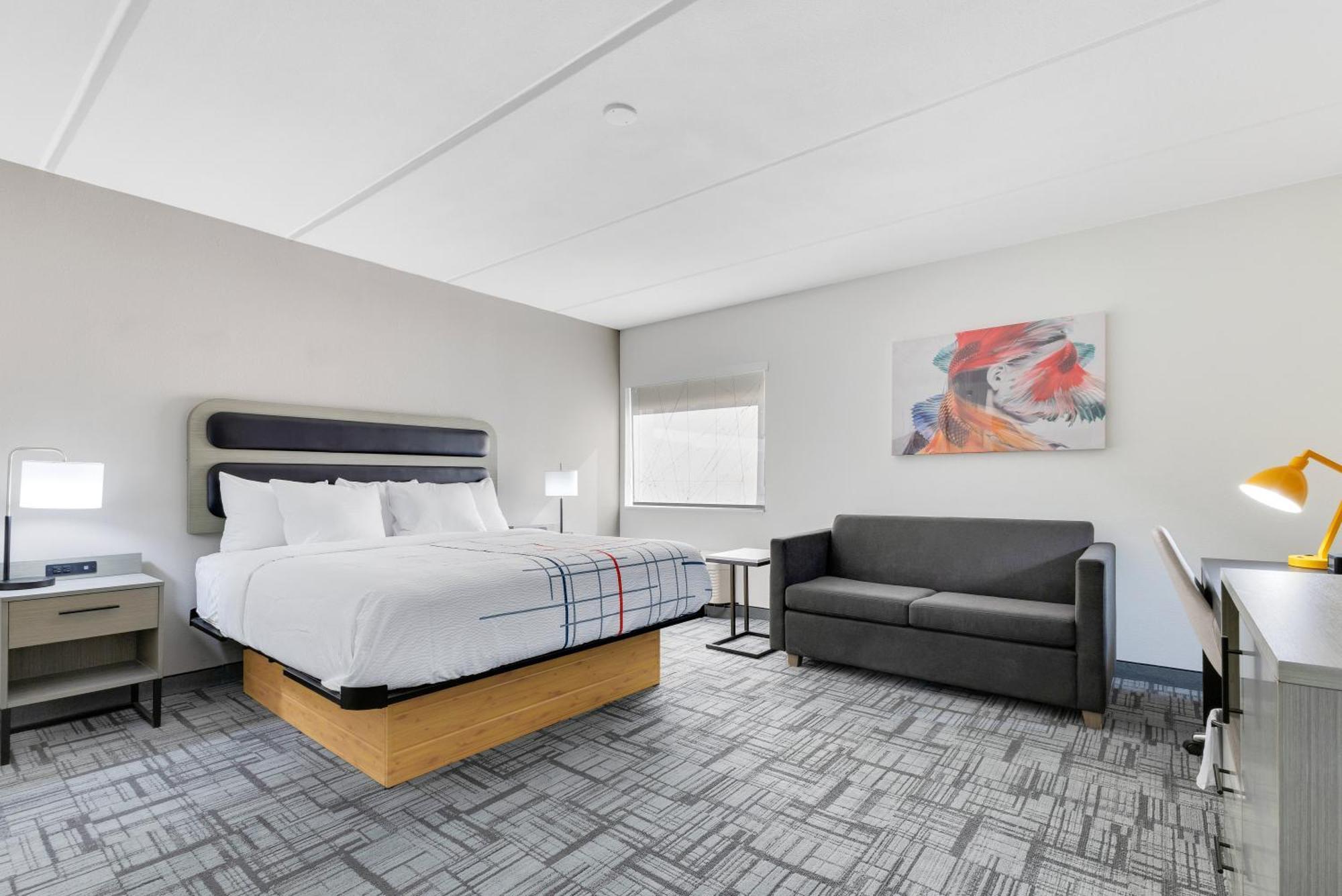 La Quinta Inn & Suites By Wyndham Jacksonville Mandarin Esterno foto