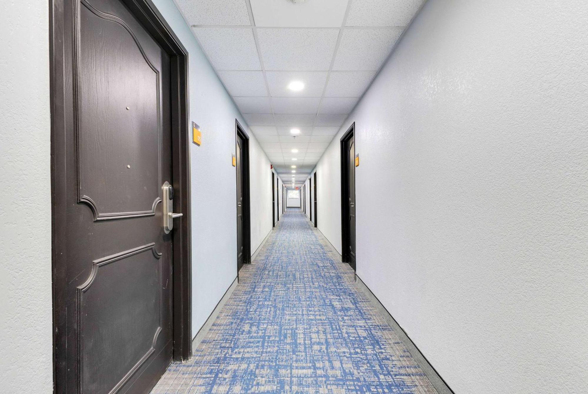 La Quinta Inn & Suites By Wyndham Jacksonville Mandarin Esterno foto